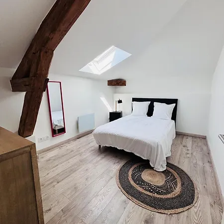 Duplex Albigny Sur Saone Apartmán *